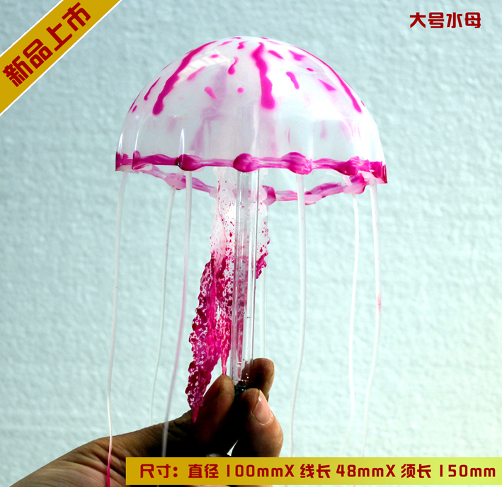 大号水母