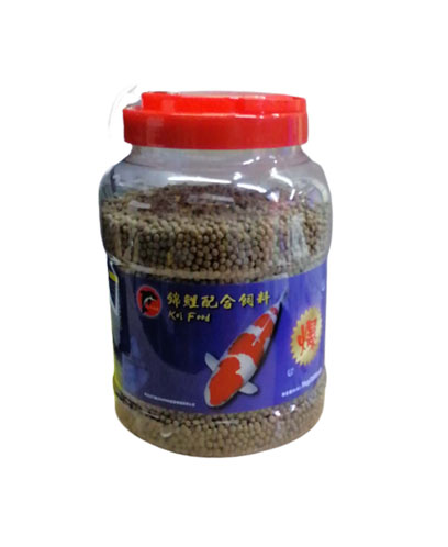KOI FISH PS